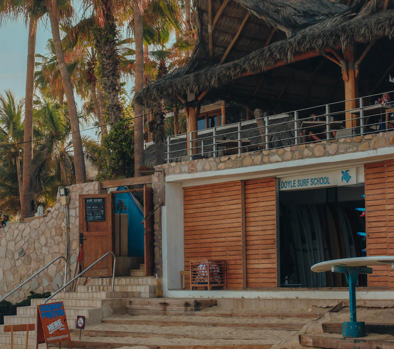 Best Vegetarian and Vegan Places in Cabo San Lucas Worth Visiting