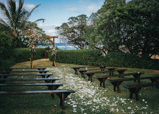 brown wooden picnic table on green grass field during daytime