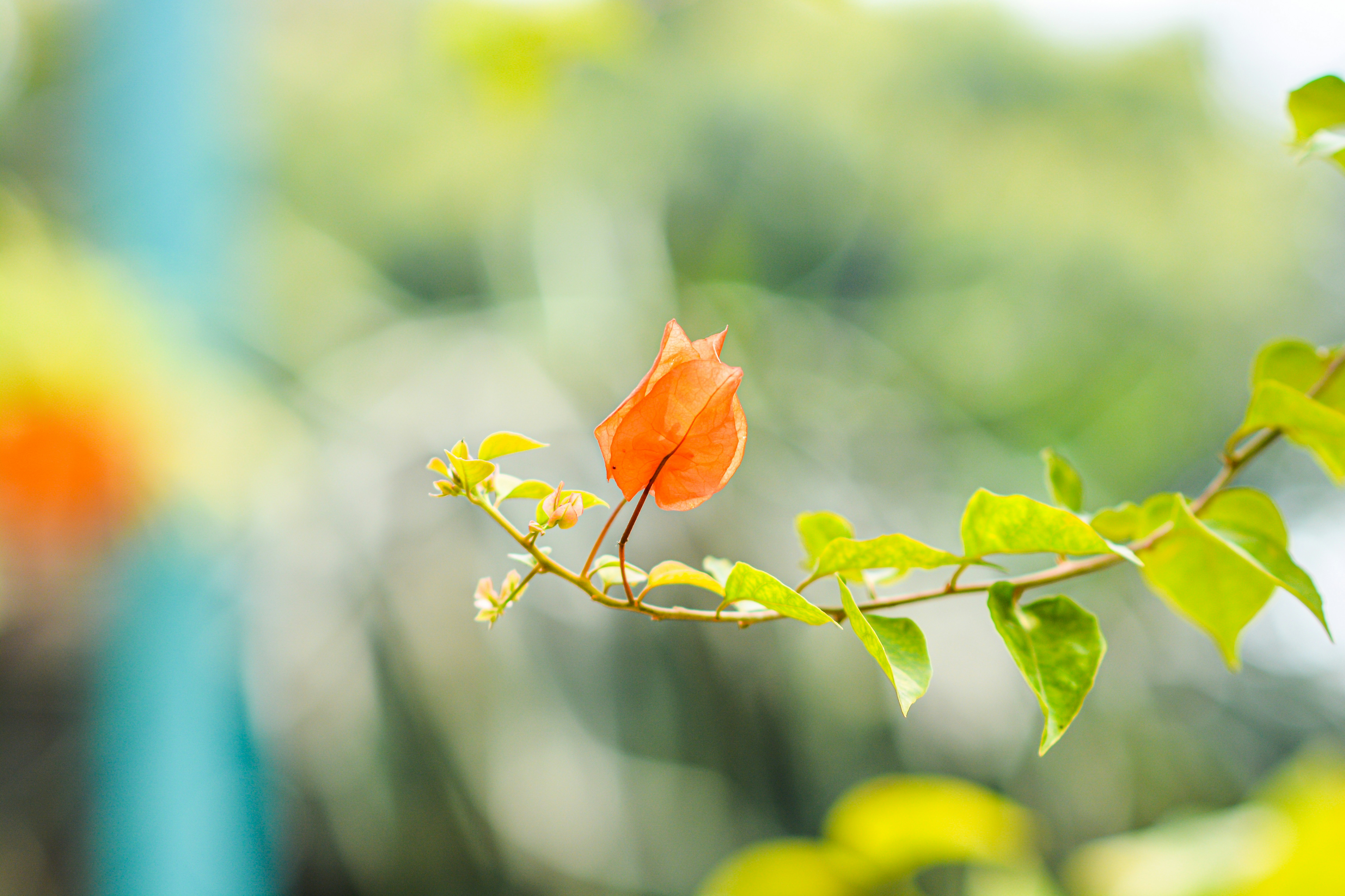 4 Best Tips To Find The Right Alloy Wheel Repair Service Provider