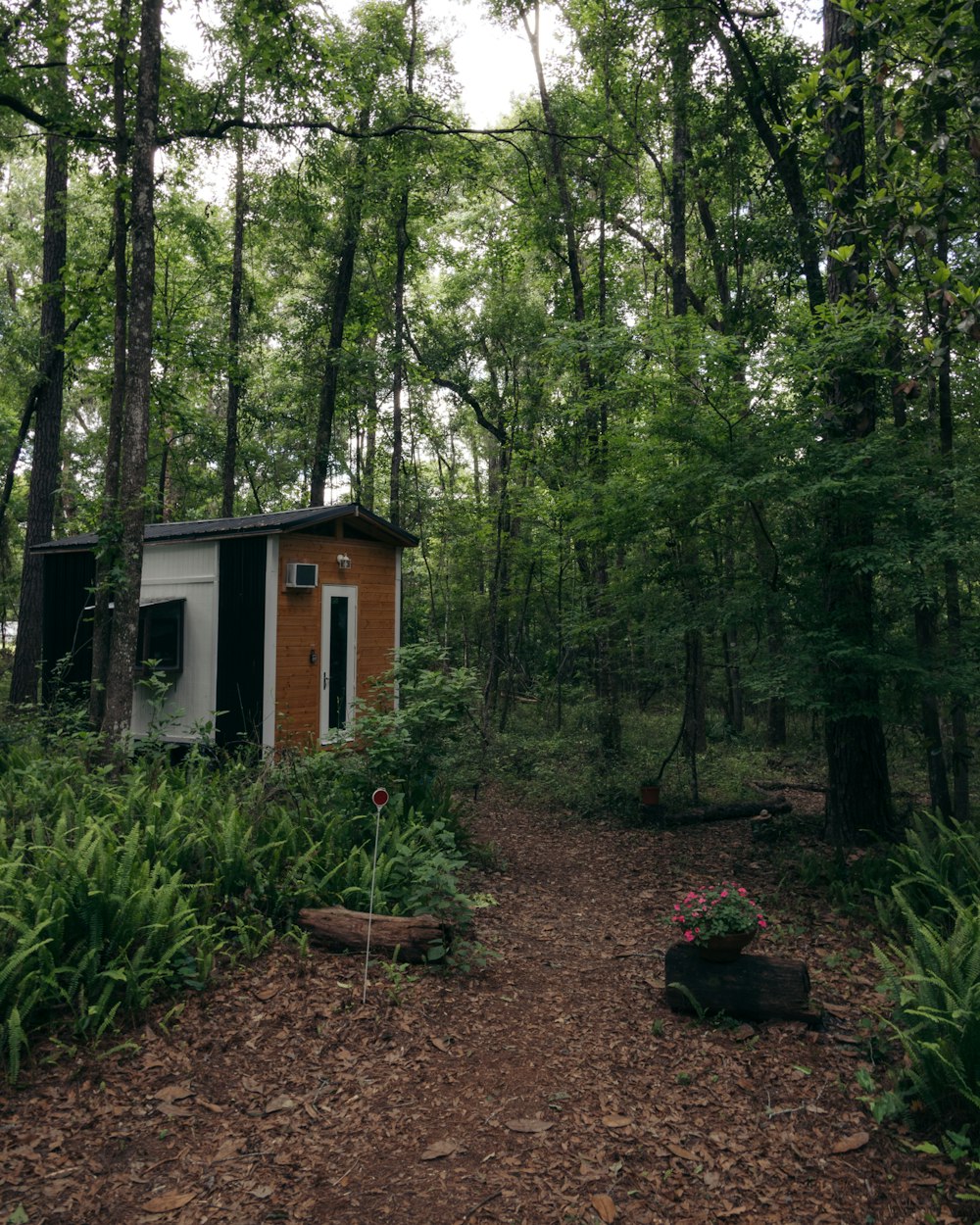 white and brown wooden house surrounded by green trees during daytime