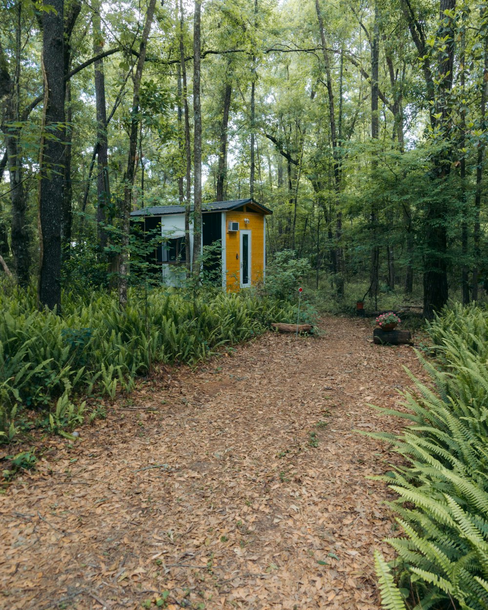 brown pathway between green trees and plants