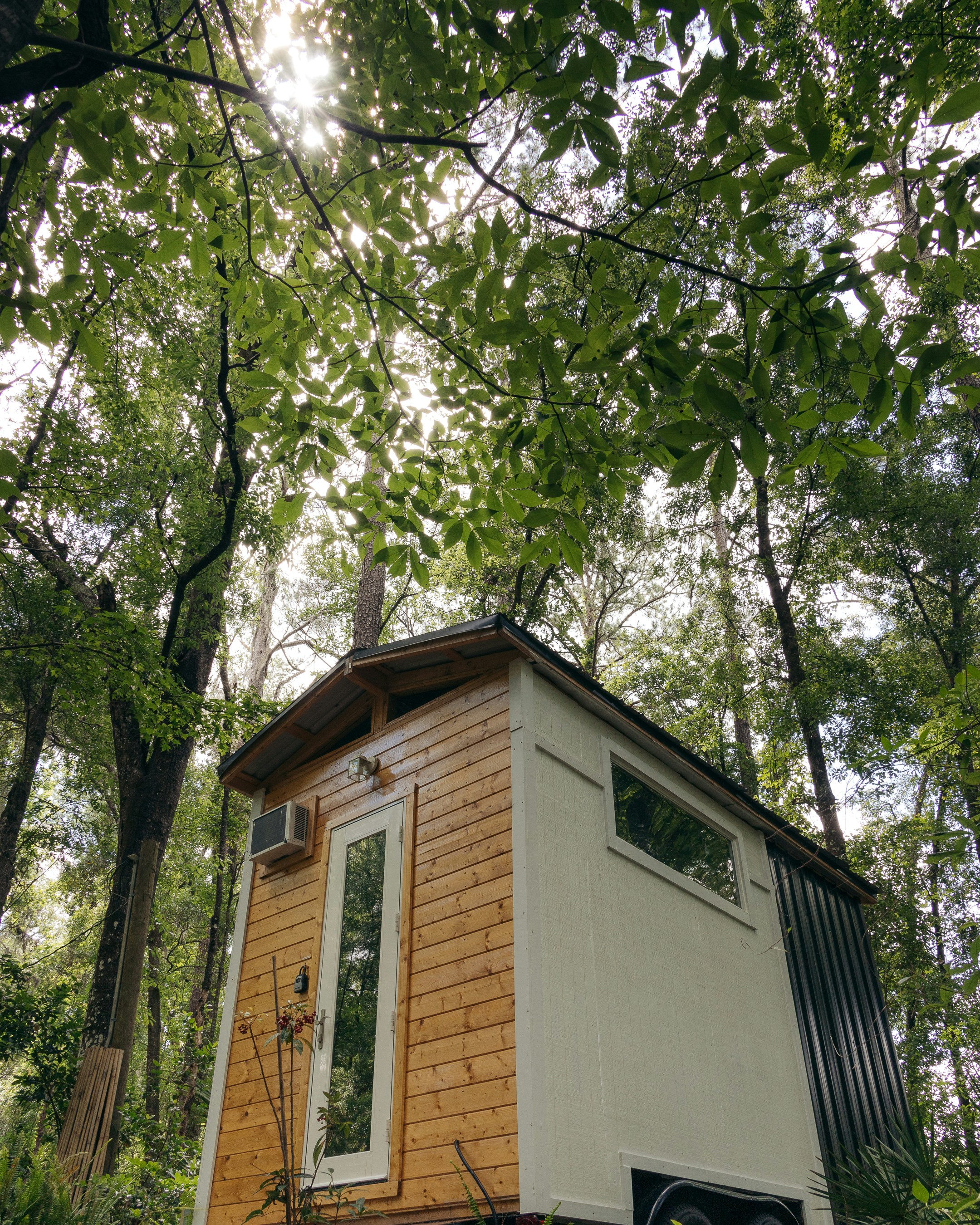 Photo by jphotomedia