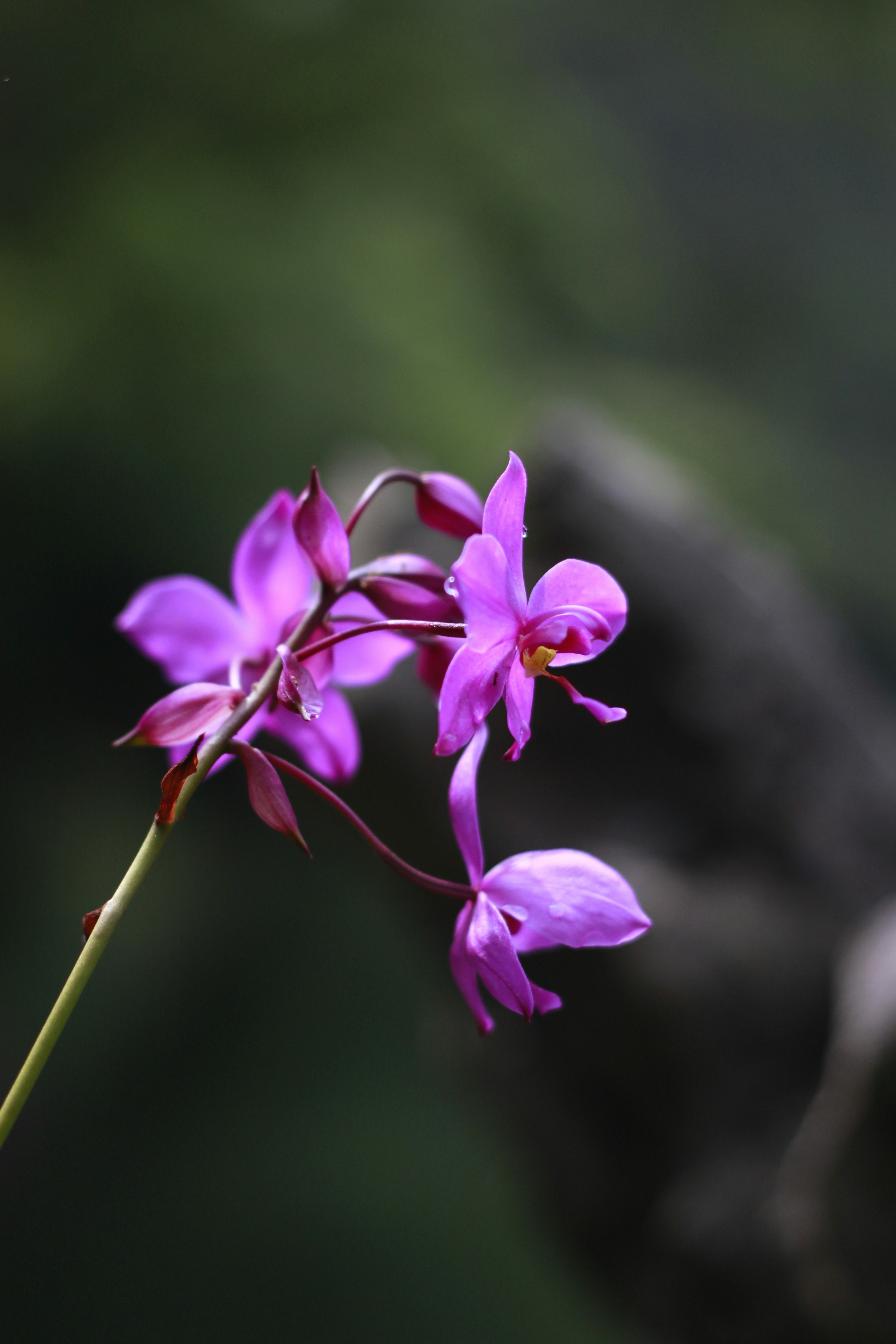 Photo by jtrinh_artwork