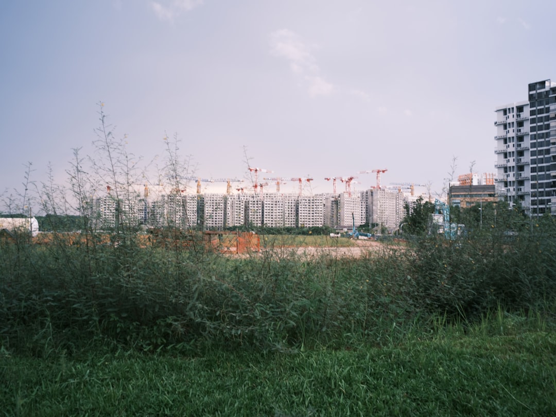 green grass field near white concrete building during daytime