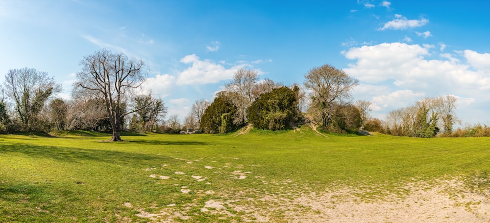 green grass field with trees under blue sky during daytime