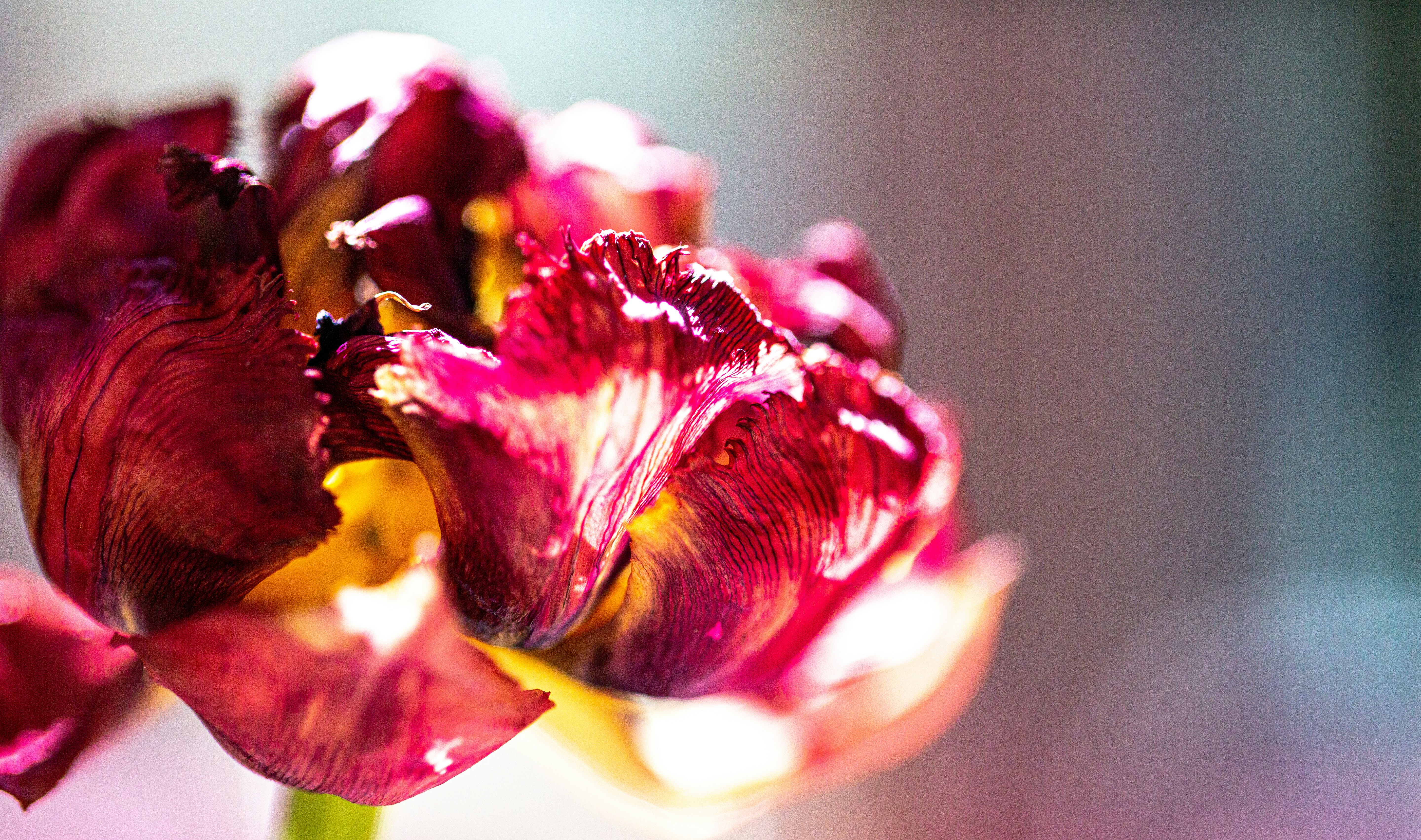 Photo by wilhelmgunkel