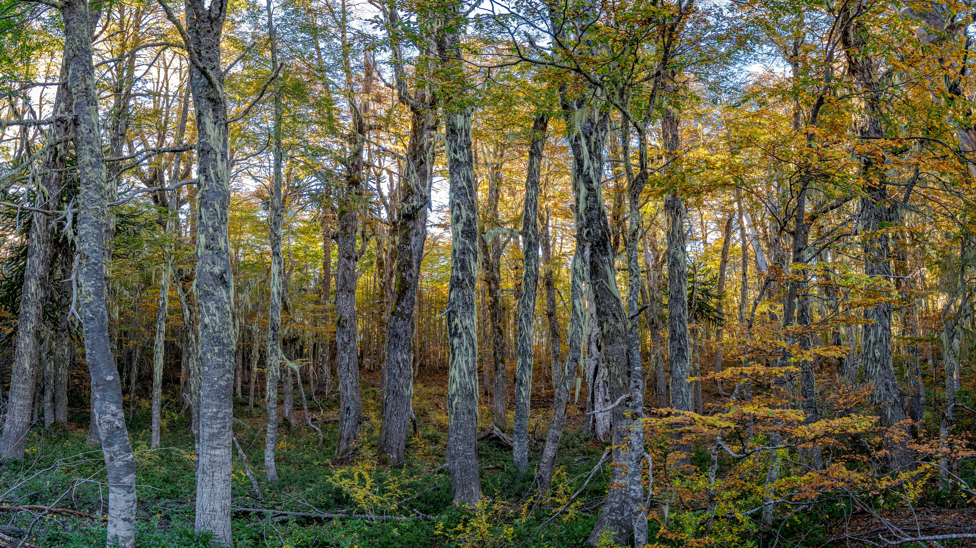 Photo by franz_nawrath