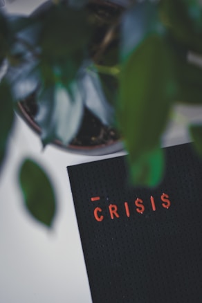 A greenery with large leaves partially obscures a letter board displaying the word 'CRISIS' in red letters, set against a dark background.