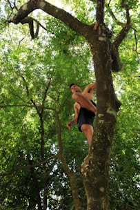 Group of people climbing a tall tropical tree surrounded by lush greenery.