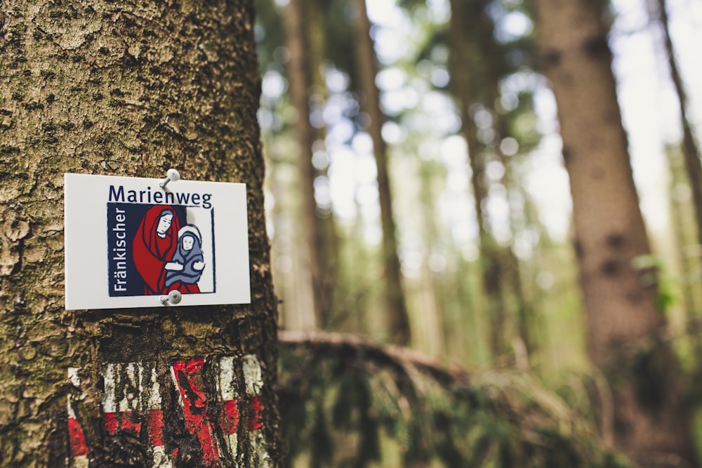 white red and blue bicycle playing cards