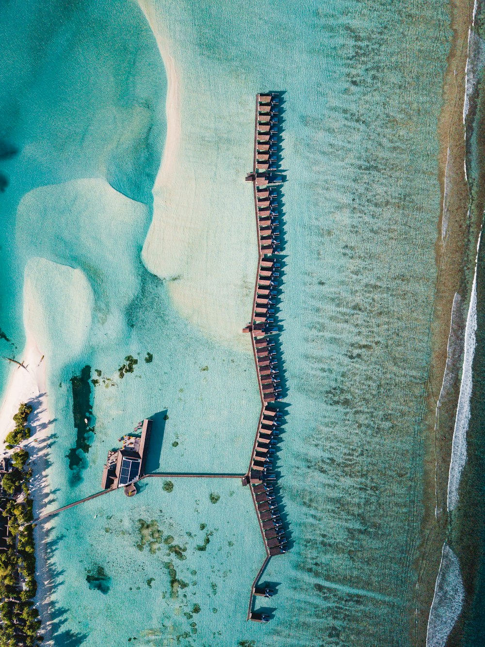 people on beach during daytime