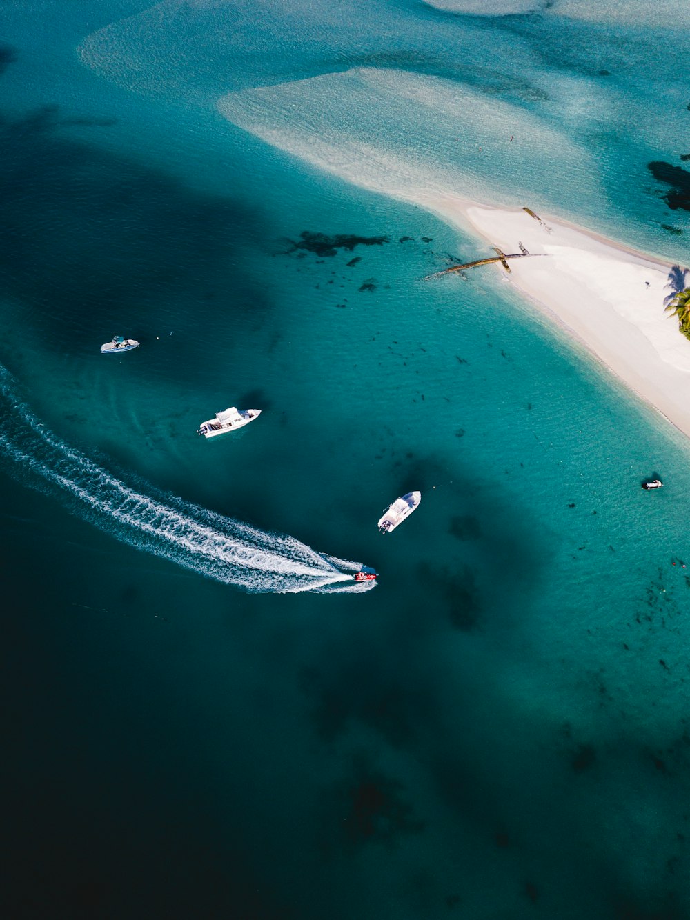 昼間の海上の白いボートの空中写真