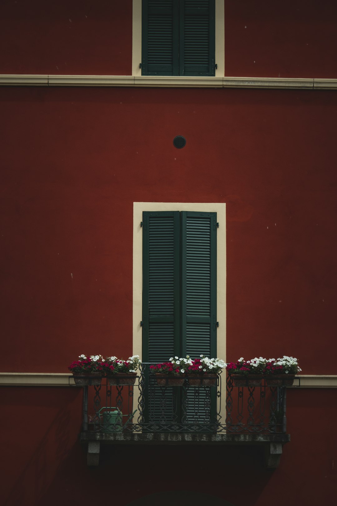 red and white flowers on red table