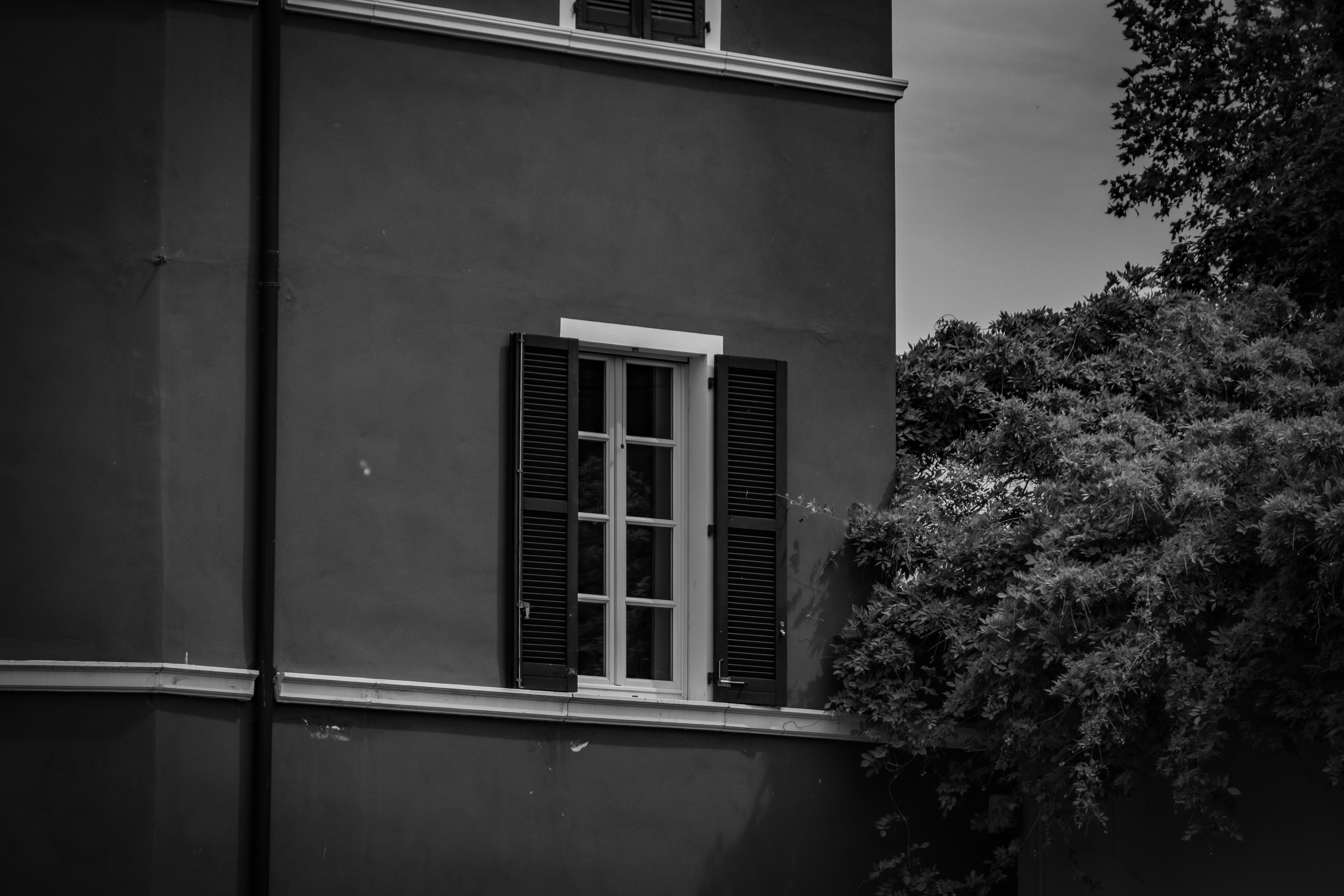 Photo by francesco_ungaro