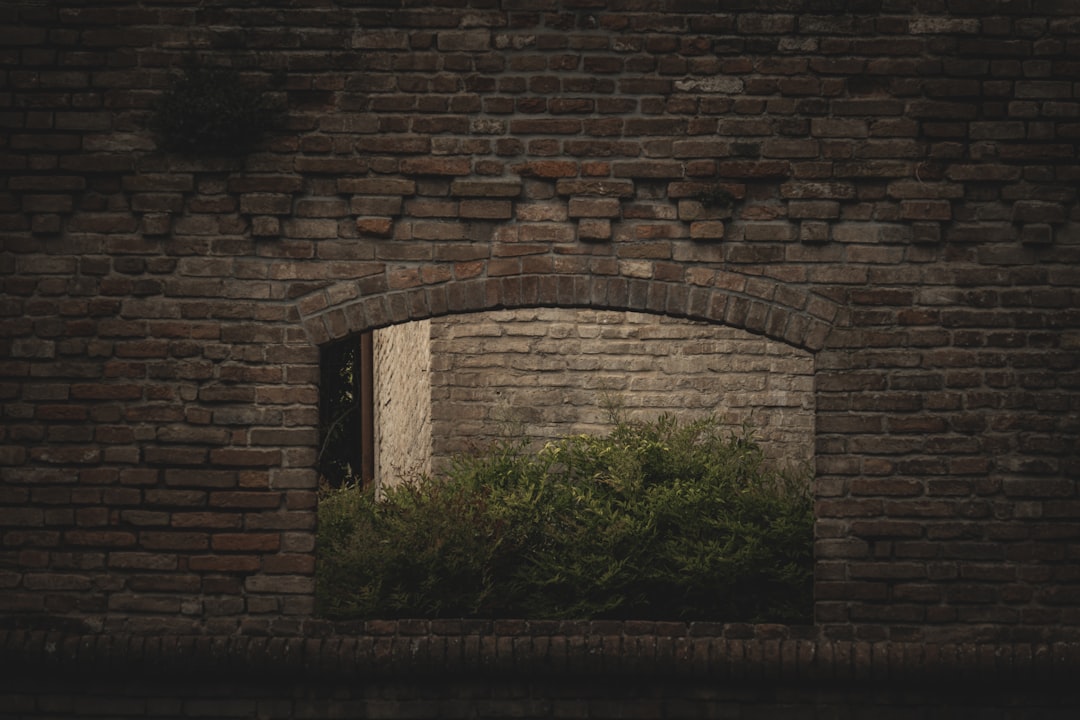 brown brick wall near green trees during daytime