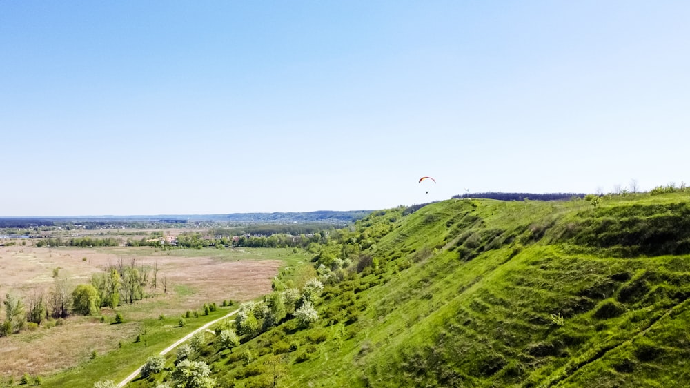 green grass field under blue sky during daytime