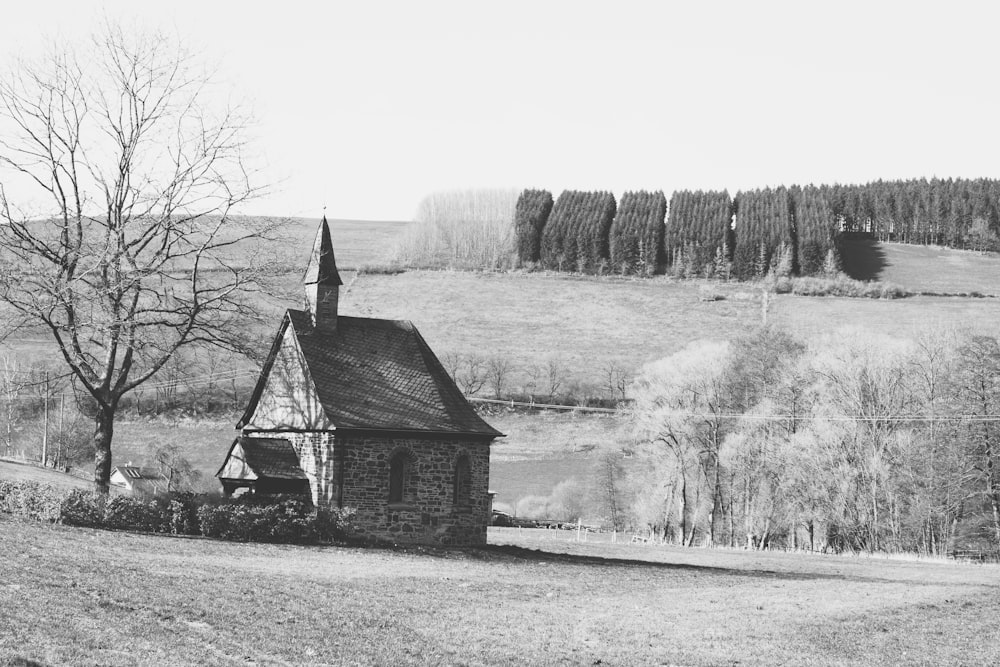 grayscale photo of house near trees