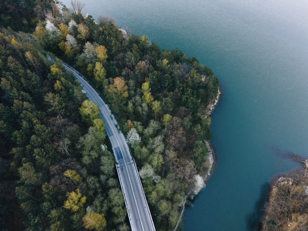 white bridge over blue sea during daytime