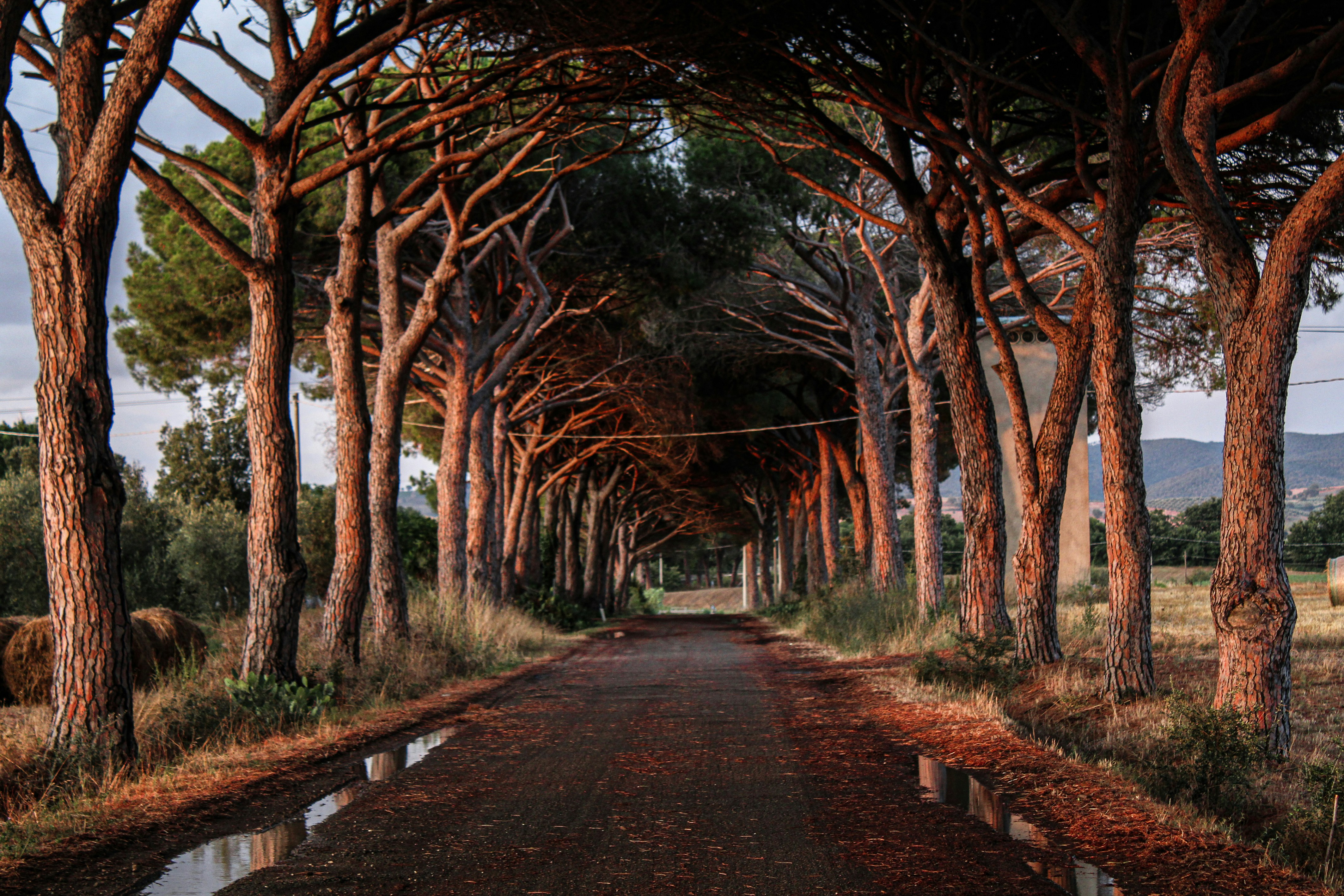 Photo by cesconfra