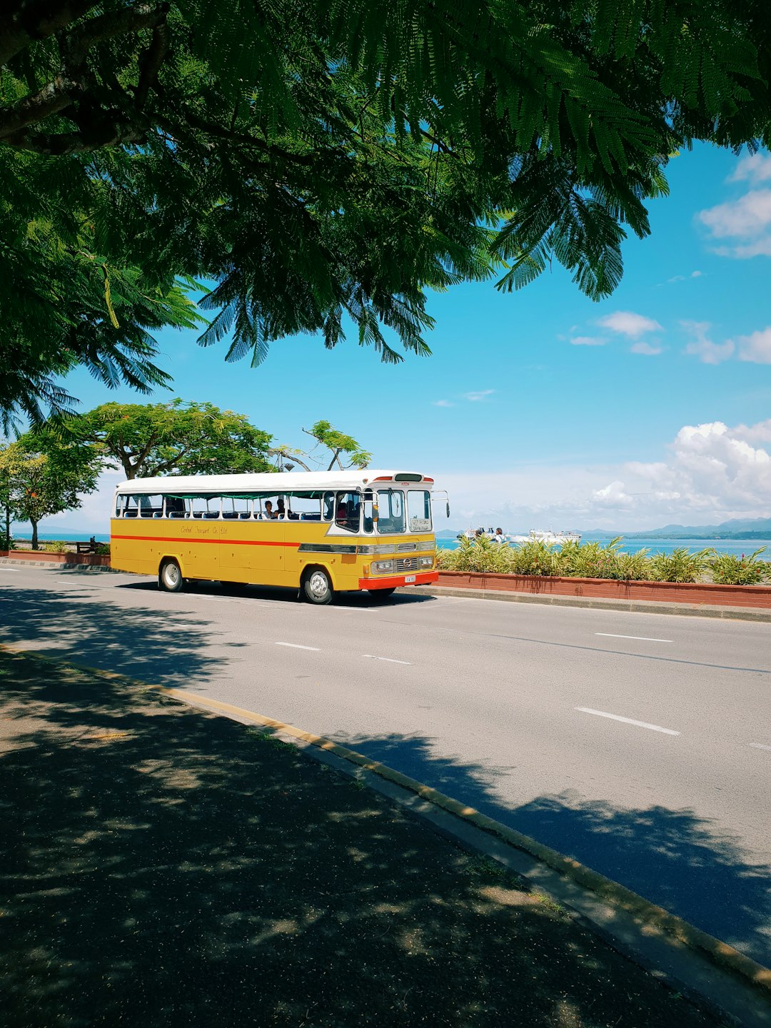 yellow and white bus on road during daytime