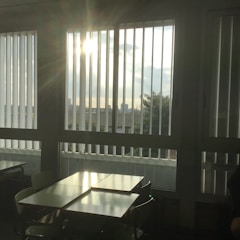 Sunlight streams through large vertical blinds, casting shadows on tables and chairs inside a room. The view outside the window reveals a cityscape with trees and distant buildings.