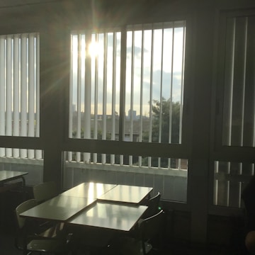 Sunlight streams through large vertical blinds, casting shadows on tables and chairs inside a room. The view outside the window reveals a cityscape with trees and distant buildings.