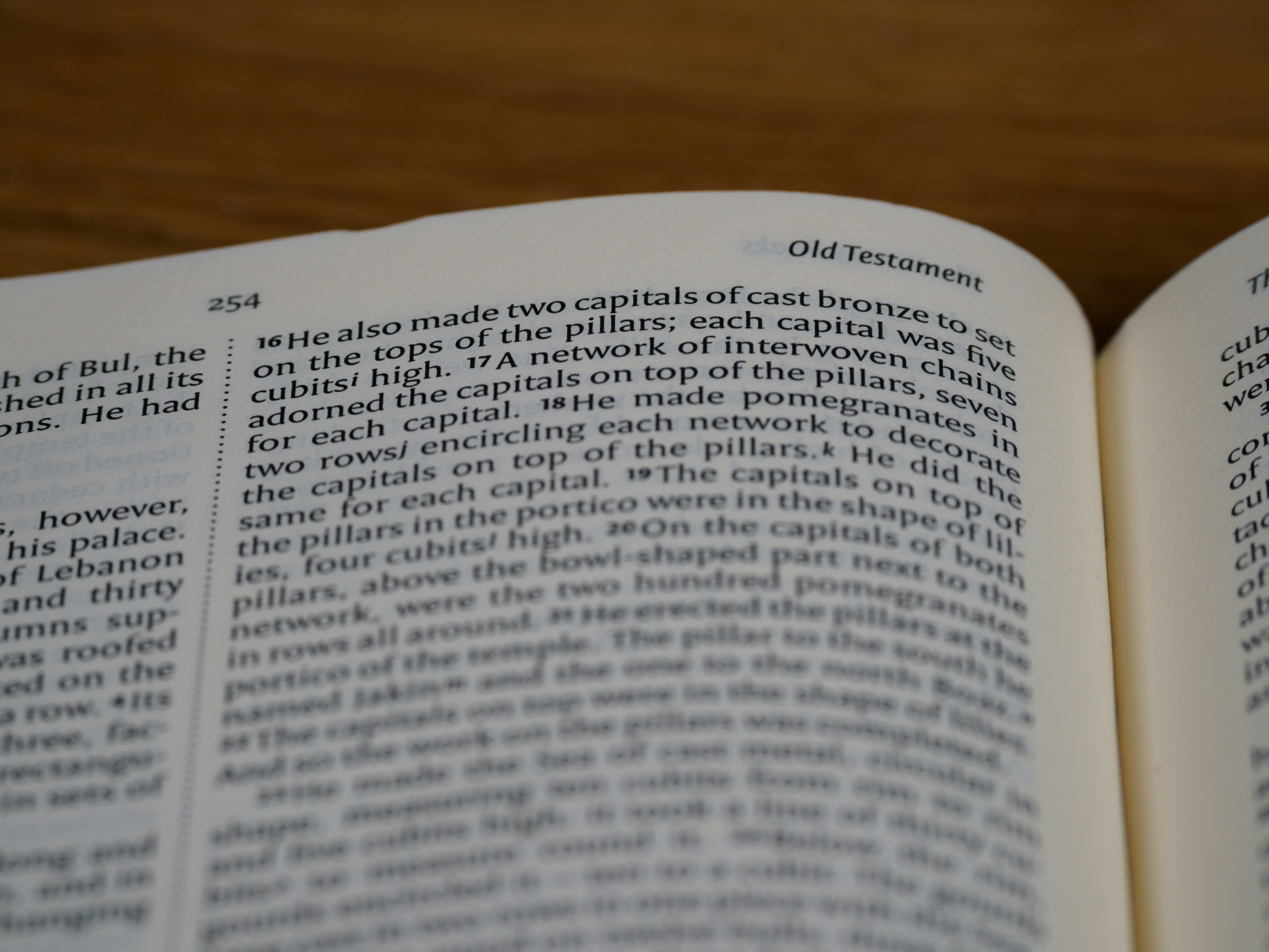 Photo by brett_jordan