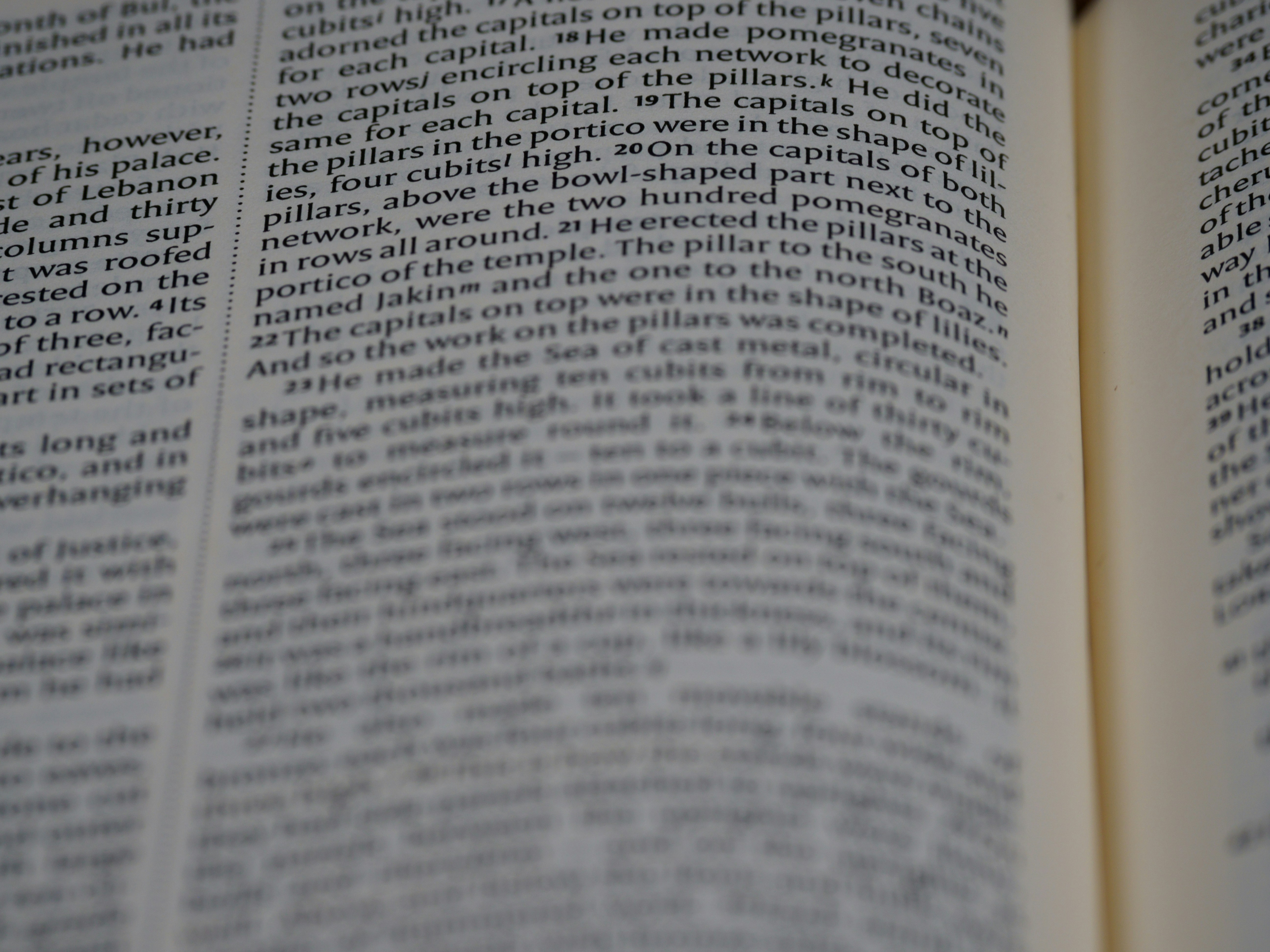 Photo by brett_jordan