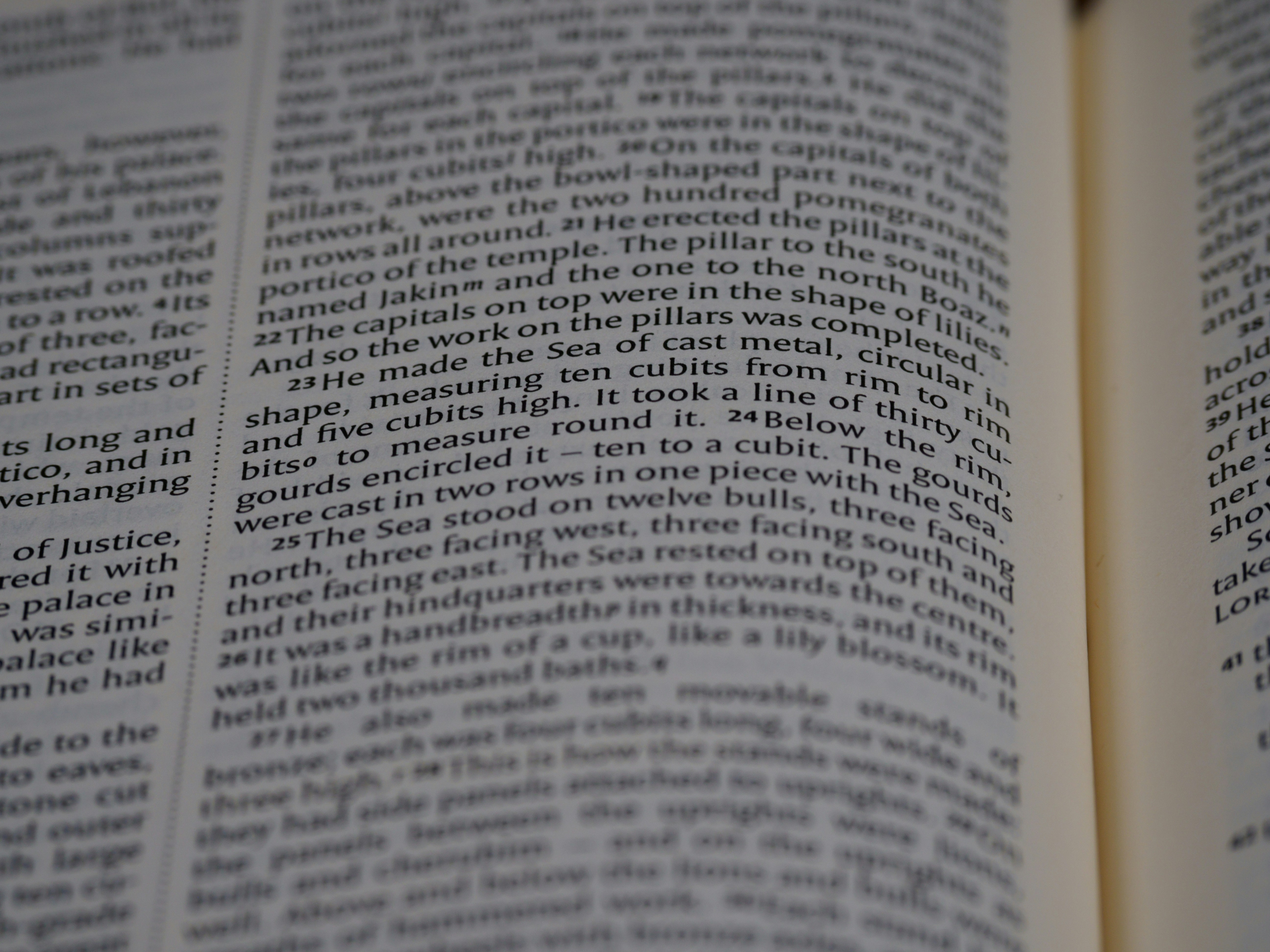 Photo by brett_jordan