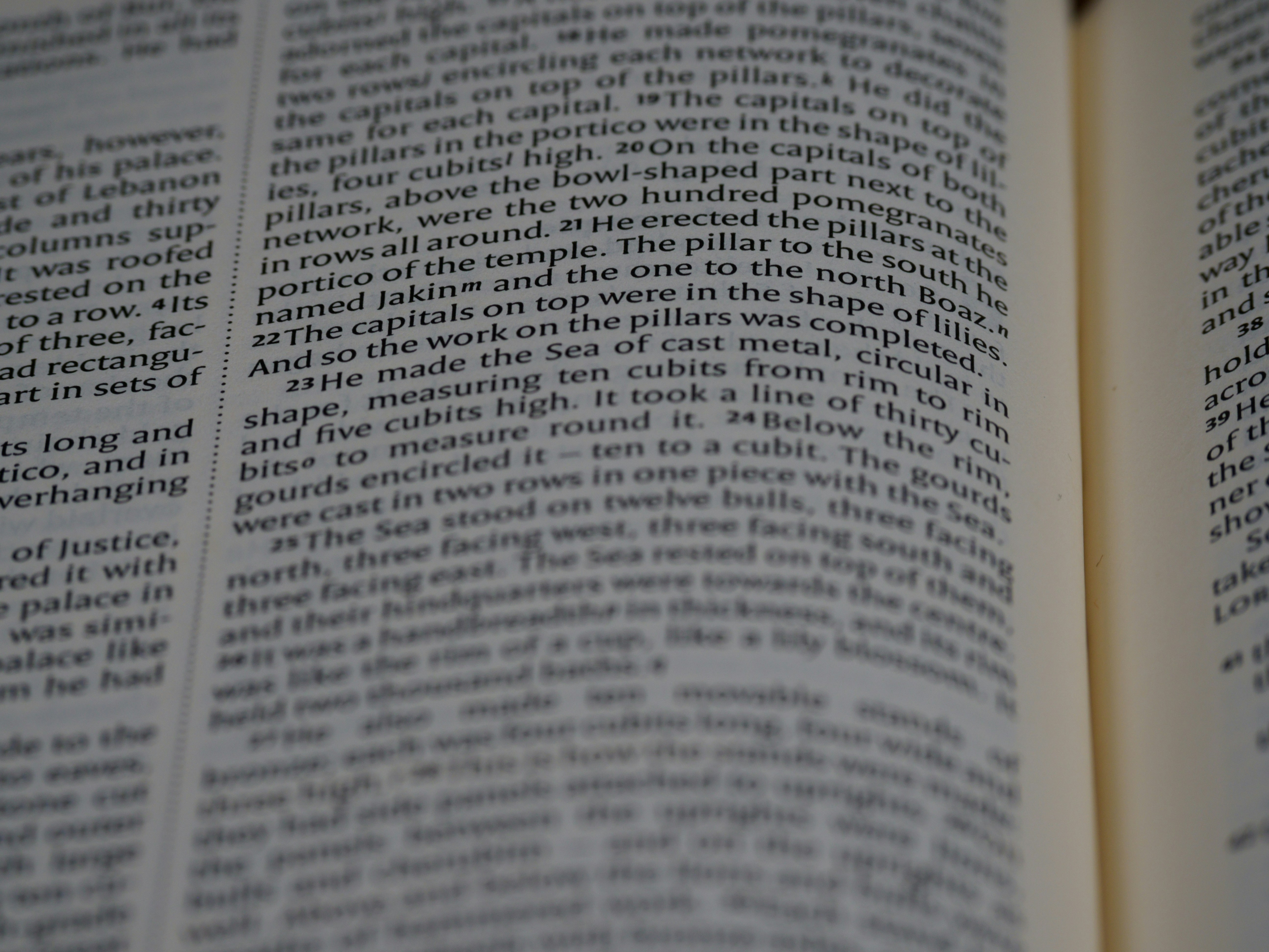 Photo by brett_jordan