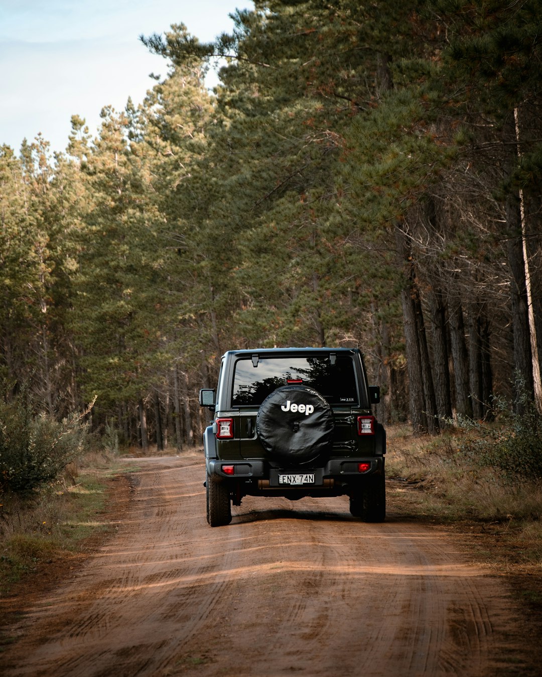 black suv on dirt road in between green trees during daytime