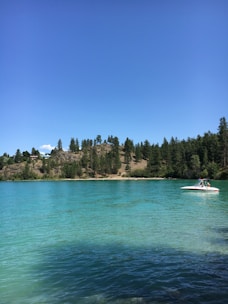 A group of happy tourists enjoying a private boat trip on a clear lake surrounded by lush greenery.