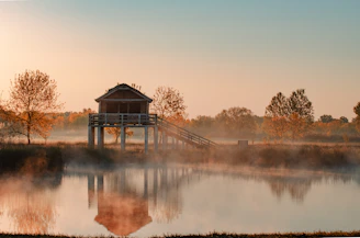 A serene lakeside estate at dawn with soft light illuminating the timber architecture.