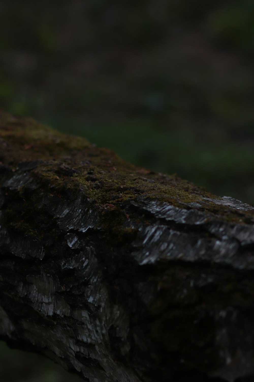 black and gray rock in close up photography