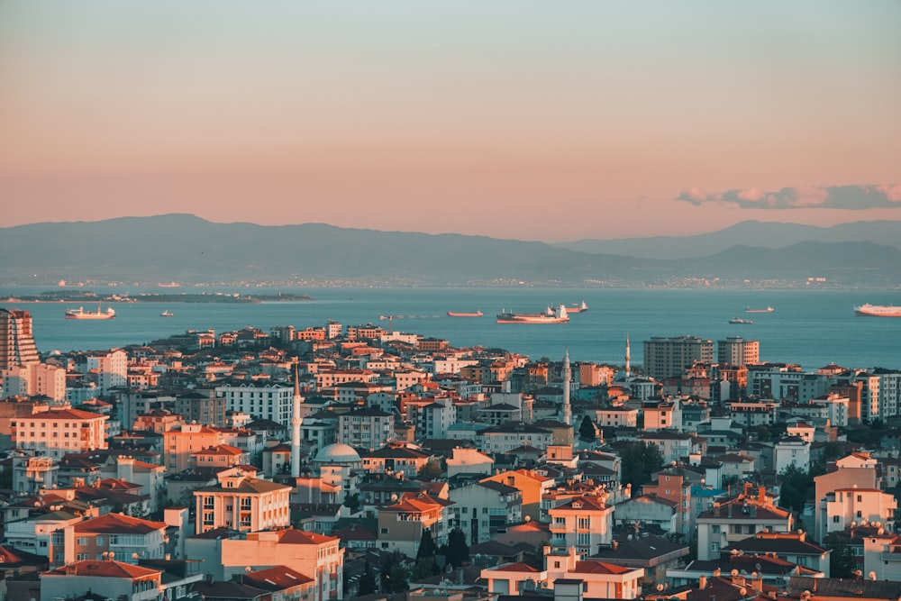 aerial view of city buildings near body of water during daytime