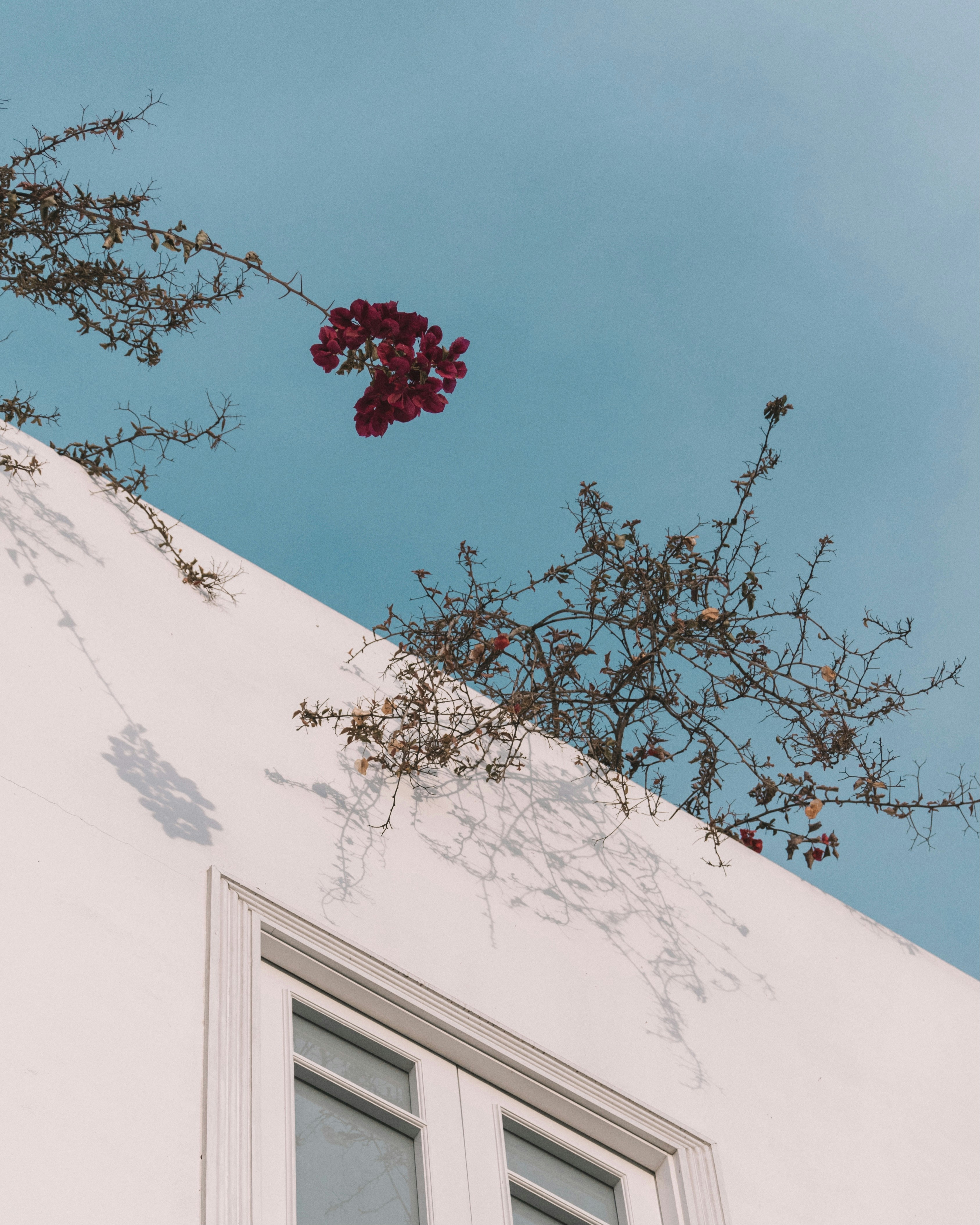 Photo by musaimaginaria