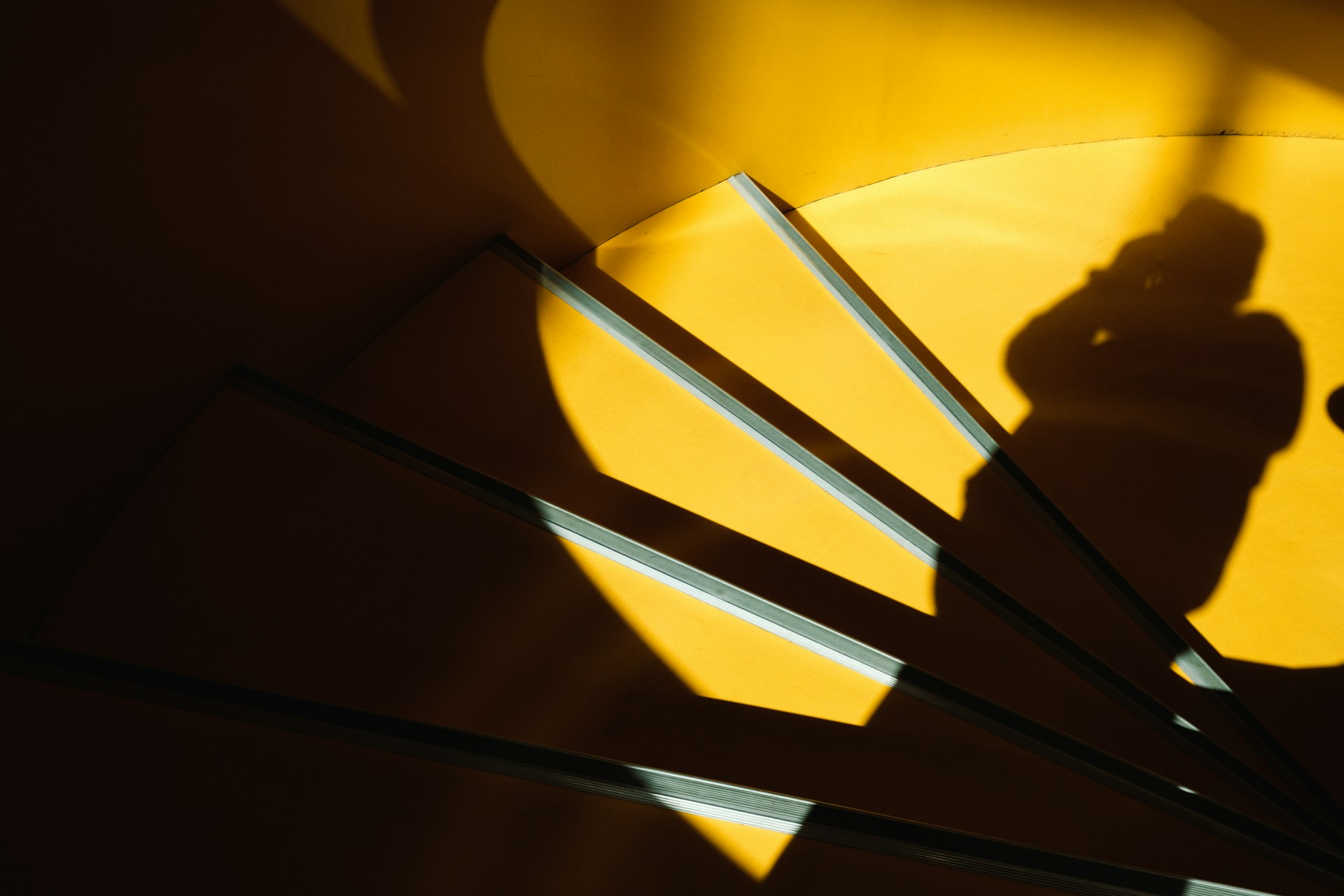 yellow and black umbrella illustration