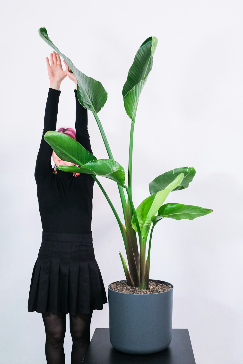 Frau in schwarzem langärmeligem Kleid mit grüner Pflanze