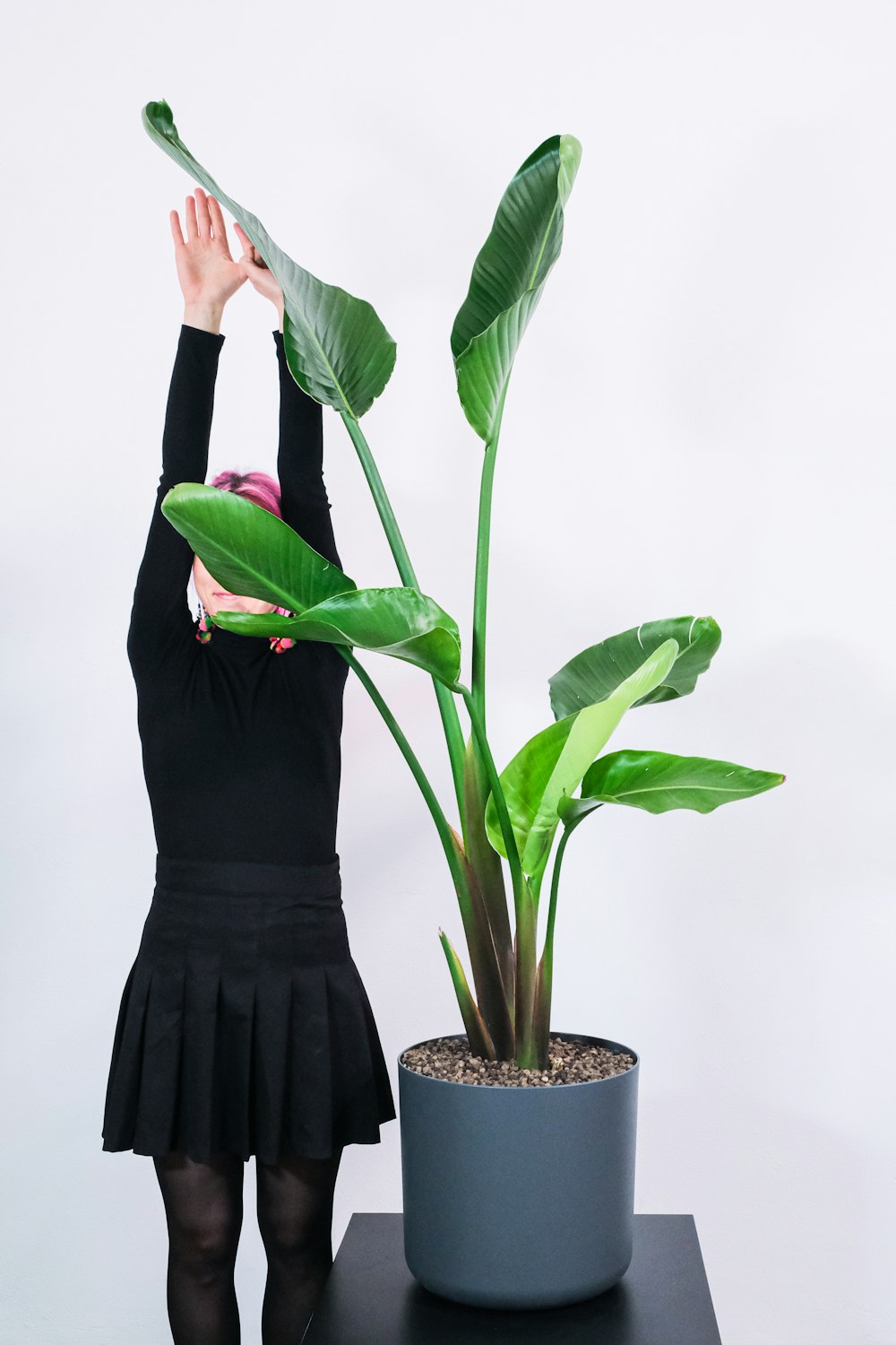 woman in black long sleeve dress holding green plant