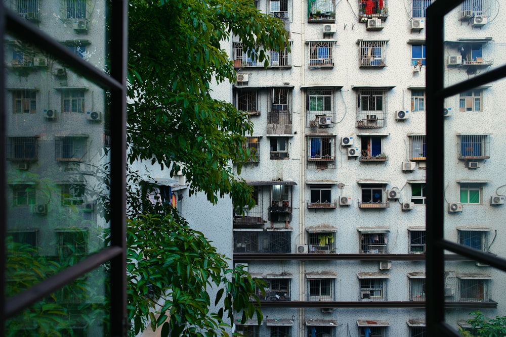 white concrete building near green tree during daytime