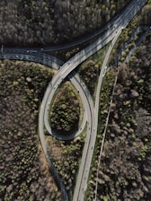 aerial view of road surrounded by trees