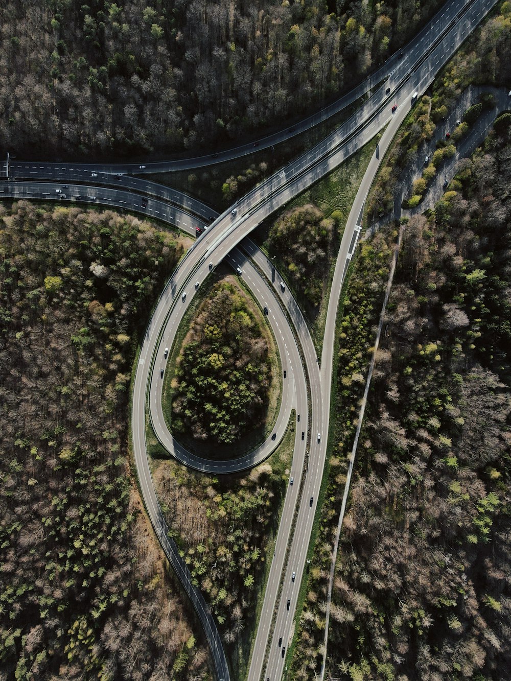 aerial view of road surrounded by trees