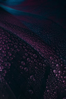 Tiny water droplets are scattered across a dark surface, with a play of light creating a subtle gradient of colors. The droplets appear iridescent, reflecting shades of purple and blue, and are evenly distributed in varying sizes.