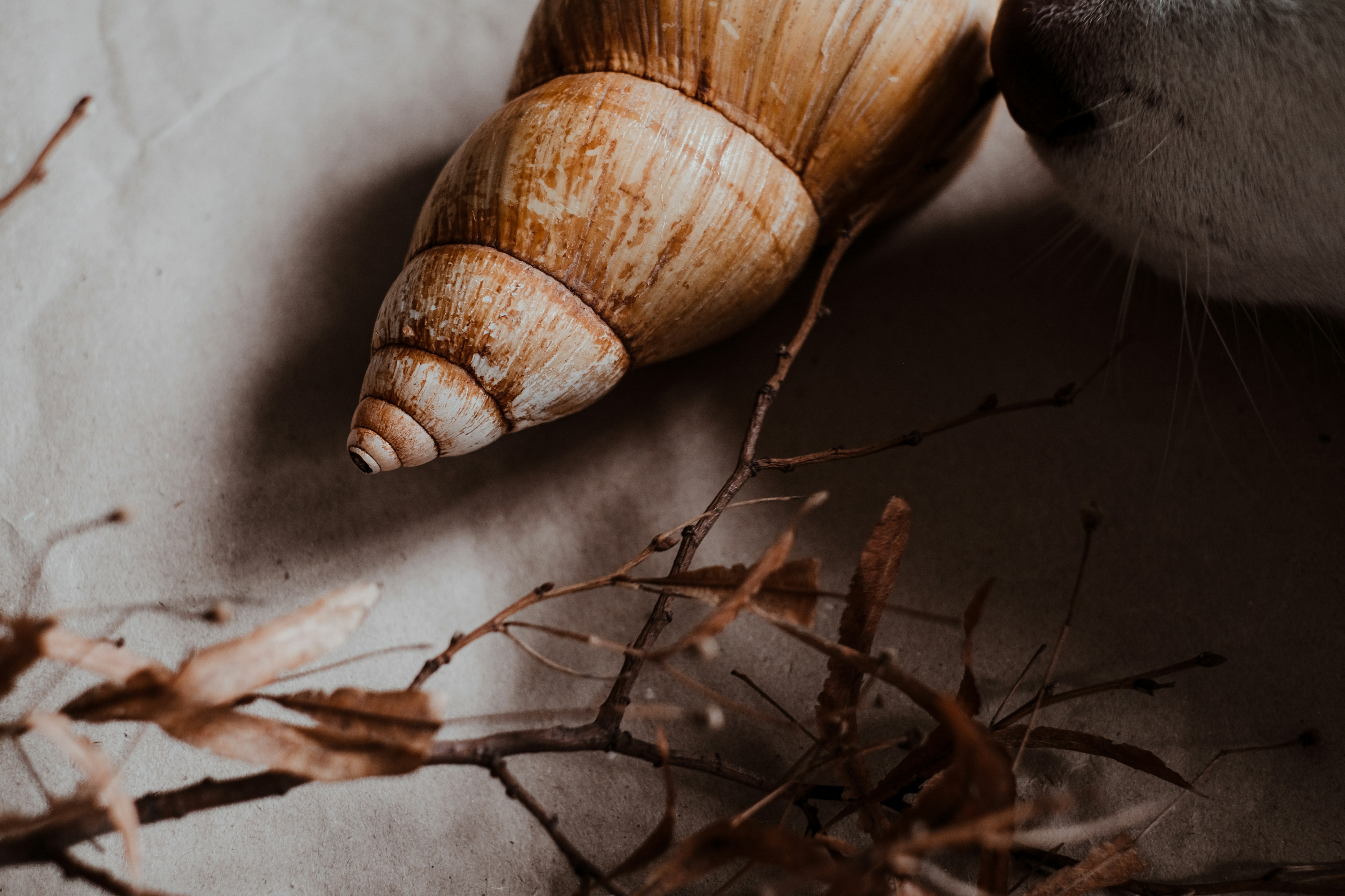 Photo by valeriiamiller