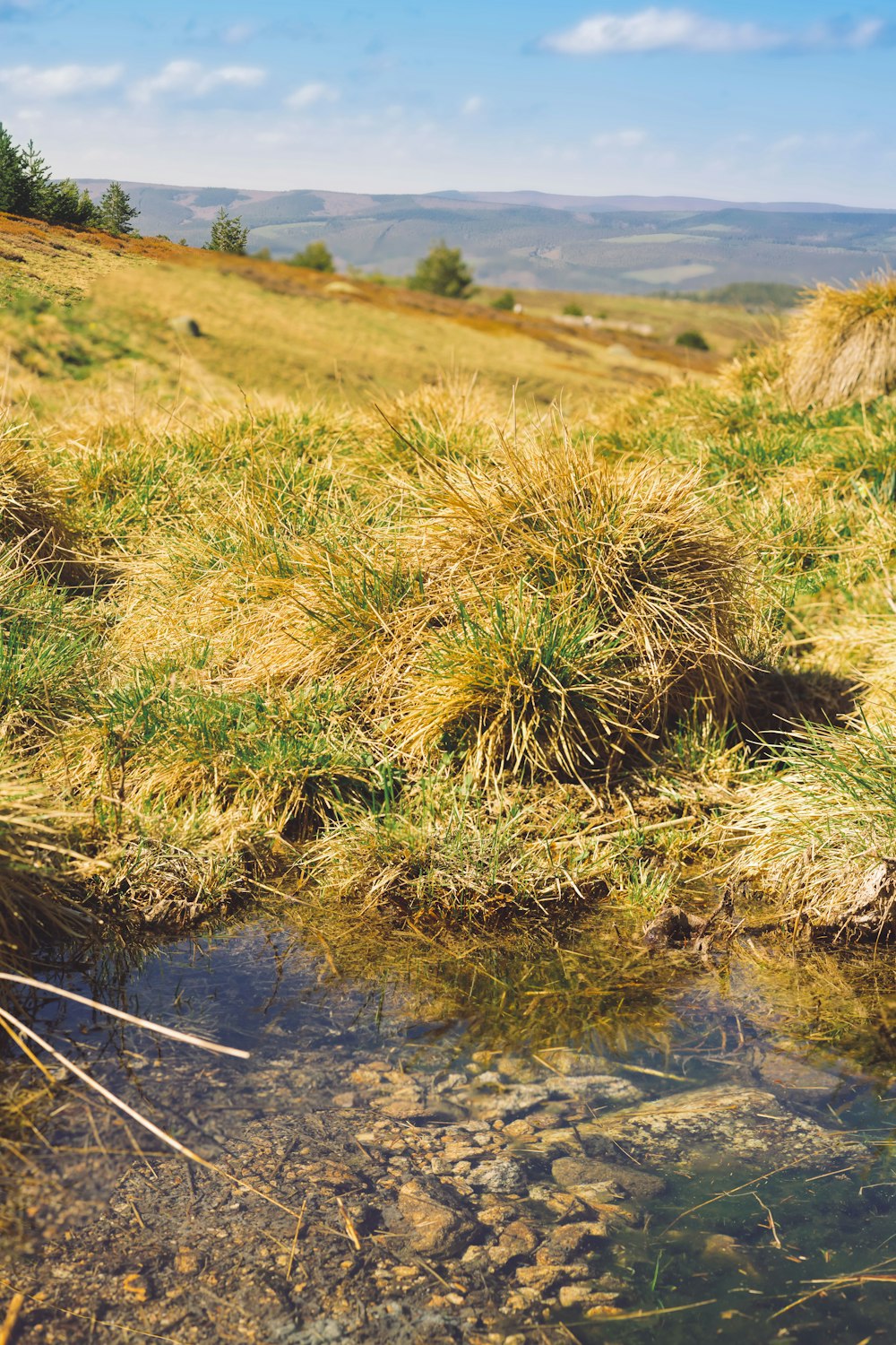 a stream of water running through a grass covered hillside