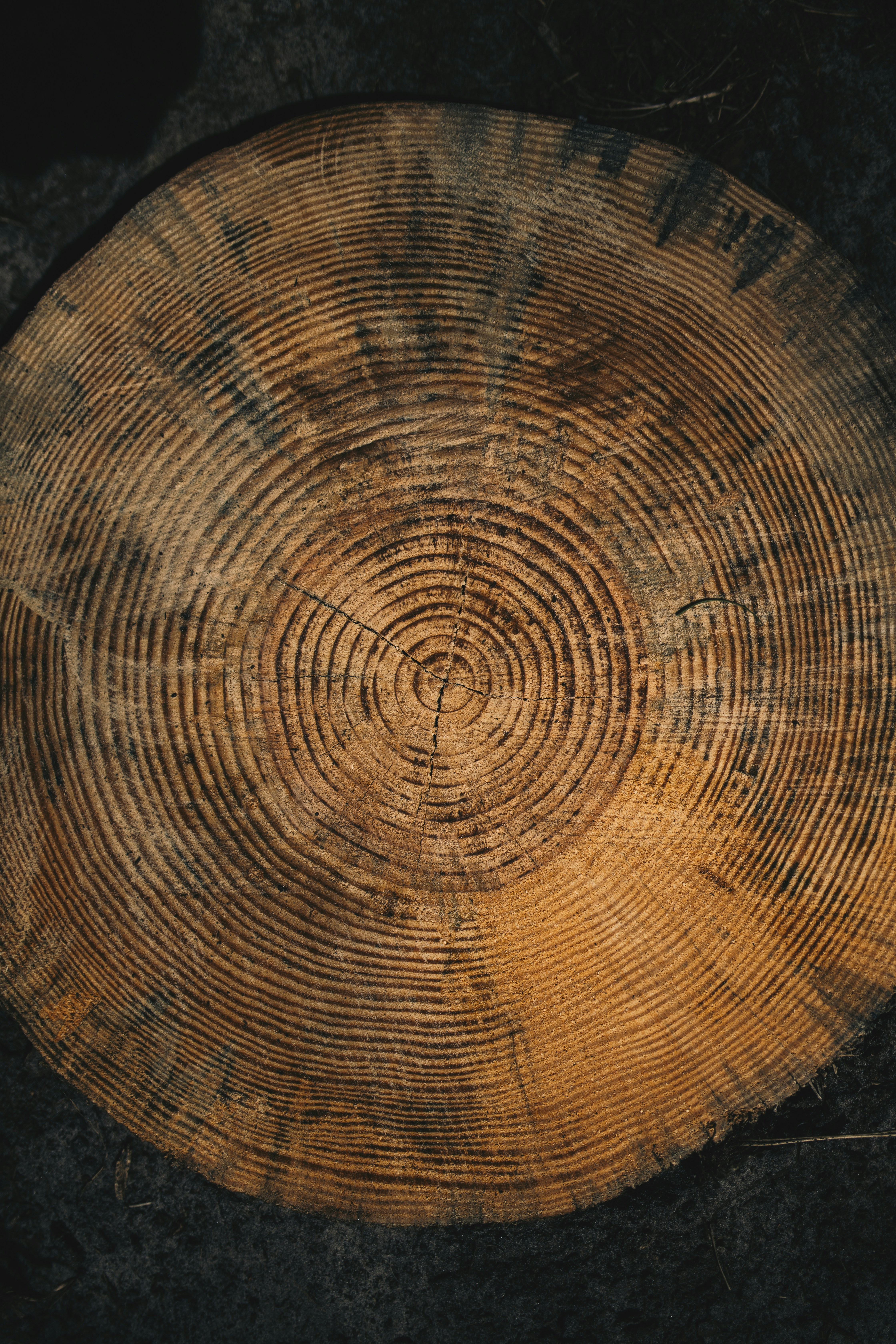 Photo by lorenzohamers