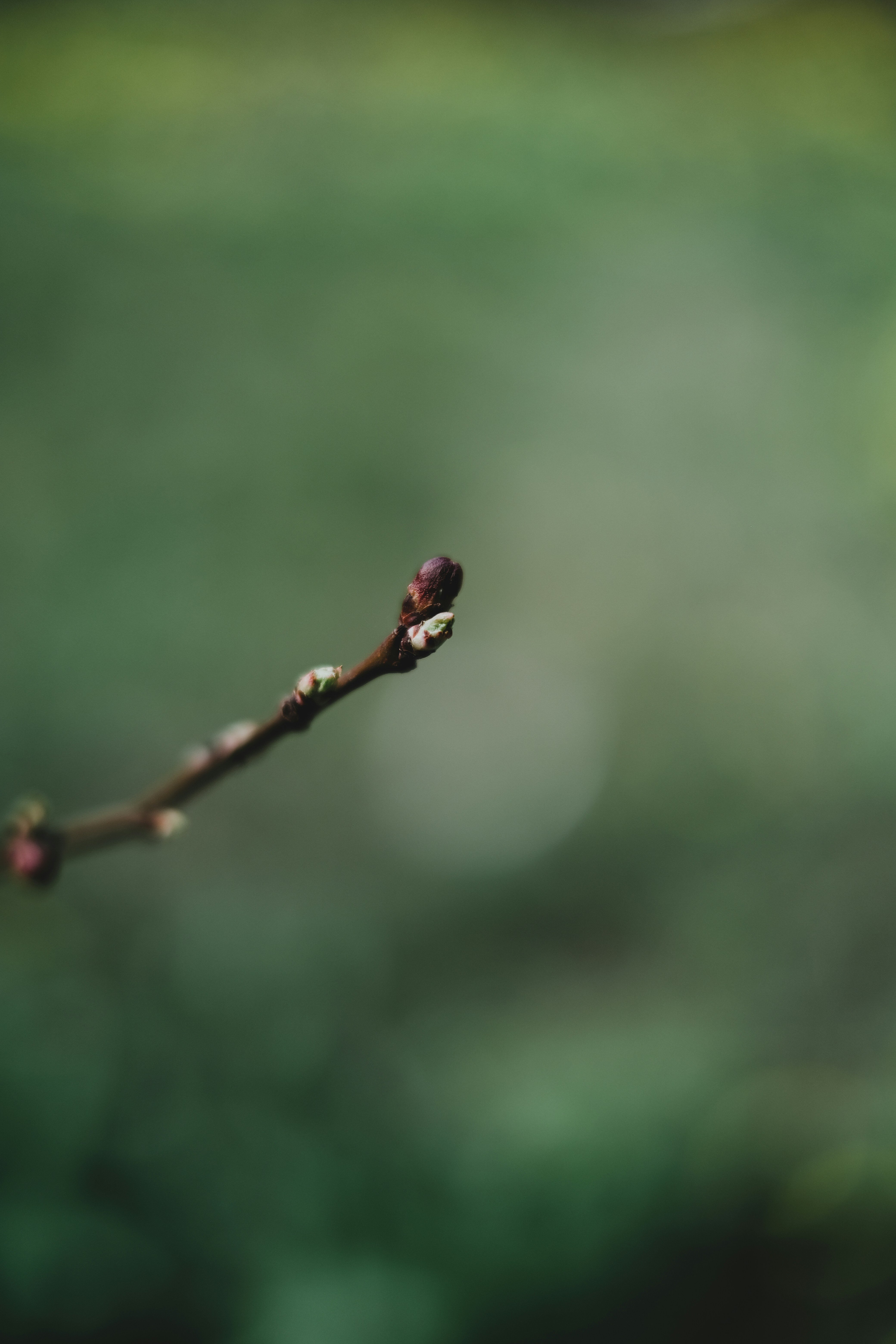 Photo by valeriiamiller