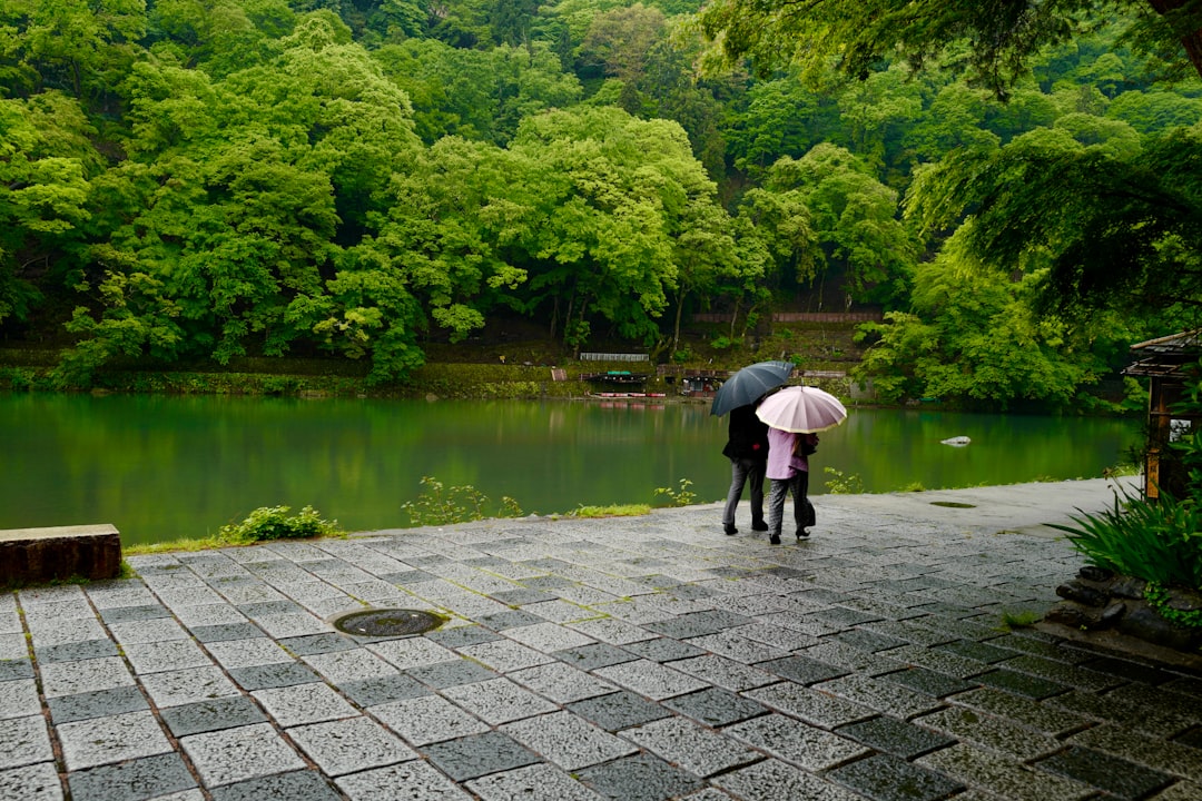 person in black jacket walking on gray brick pathway near lake during daytime