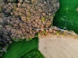 An aerial view of a landscape featuring a dense cluster of trees transitioning from a forest to open agricultural fields. The forested area is prominently brown due to bare trees, suggesting a leafless season, possibly autumn or early spring. Adjacent to this woodland, a lush green field and a tilled brown field form a contrast in texture and color. A narrow road cuts through the middle of the terrain, flanked by trees on both sides.