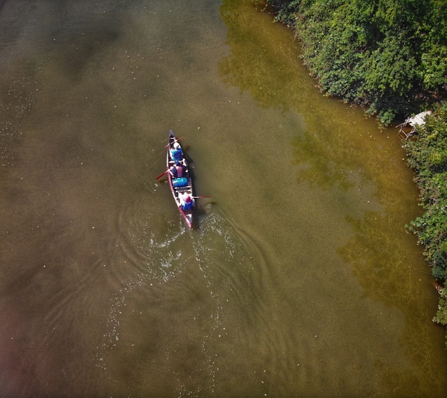 Aerial view of a narrow boat with people rowing on a calm river. The water is clear with a subtle green-brown tint. Lush greenery lines the right edge of the riverbank, creating a natural border. Ripples in the water indicate movement from the oars.
